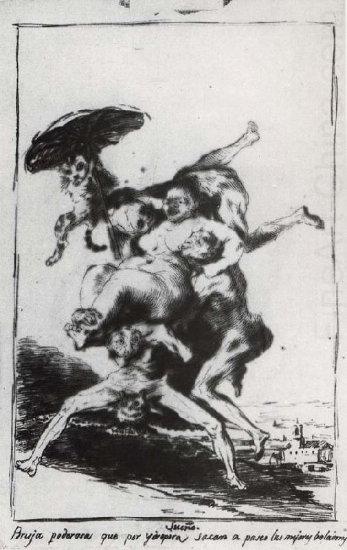 Francisco Goya Bruja poderosa que por ydropica china oil painting image